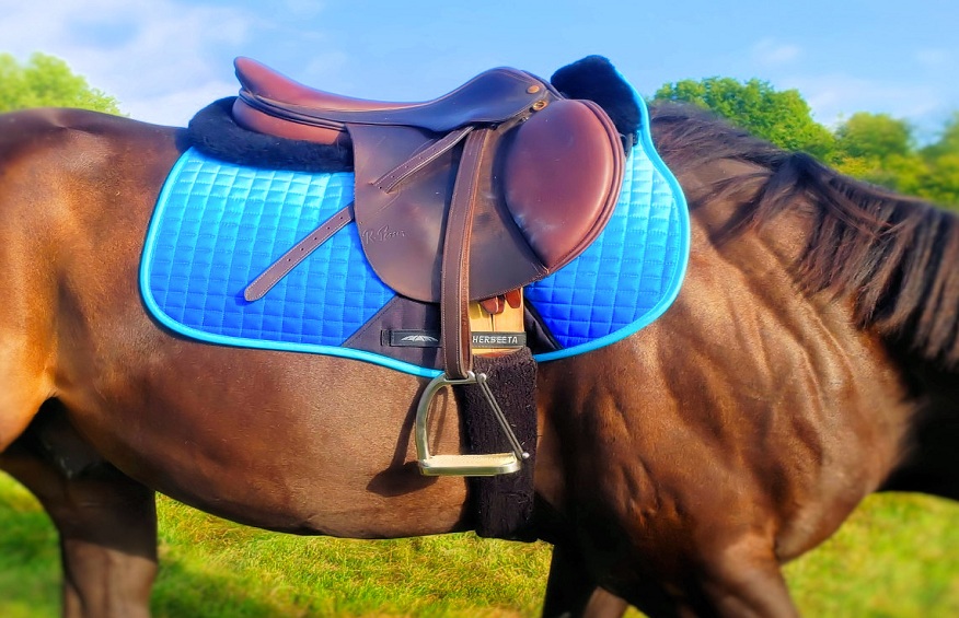 Why Your Horse Needs The Best Saddle Pads