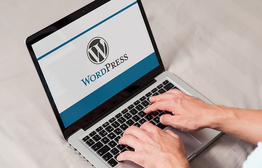 plan for WordPress
